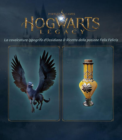 Hogwarts Legacy per PS5 - PS4 - XBOX - Nintendo Switch