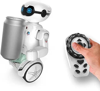 Robot interattivo