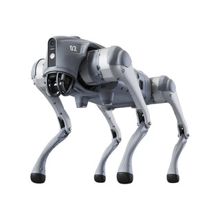 Go2 AI Robot Dog Unitree The Guinness World Record Winning Robot Dog