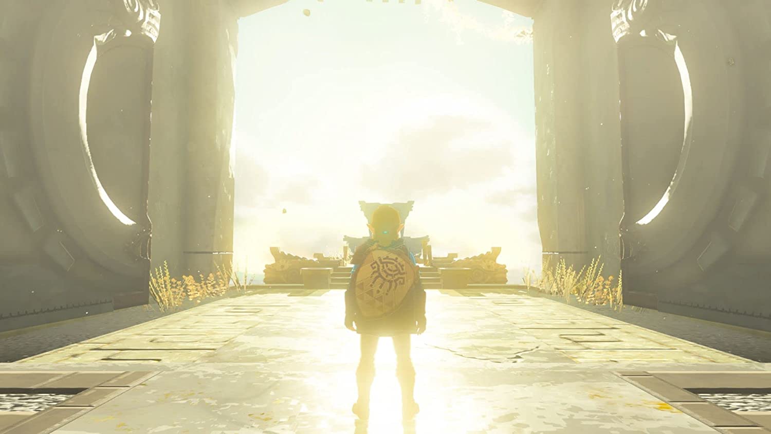 Nintendo The Legend of Zelda: Tears of the Kingdom